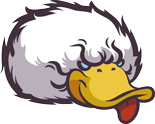 Patoloco