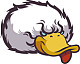 Patoloco