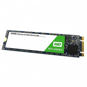 SSD WD Green, 120GB, M.2, Leitura 545MB/s - WDS120G2G0B